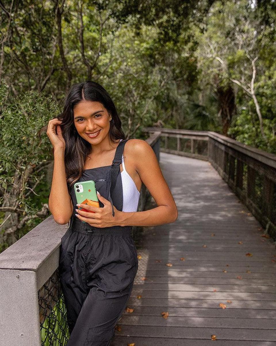 Endless Peaks | Colorblock Mountain Case