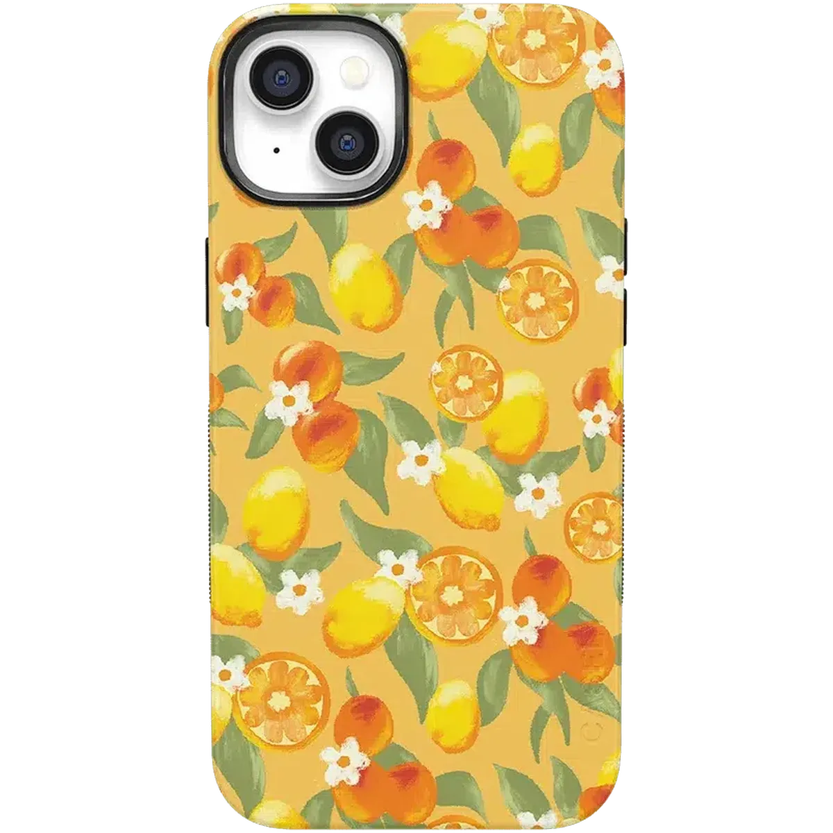 Positano | Dippin' Daisy's Italian Coast Case