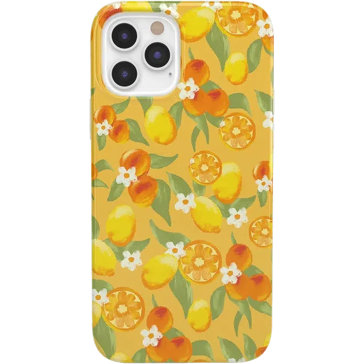 Positano | Dippin' Daisy's Italian Coast Case