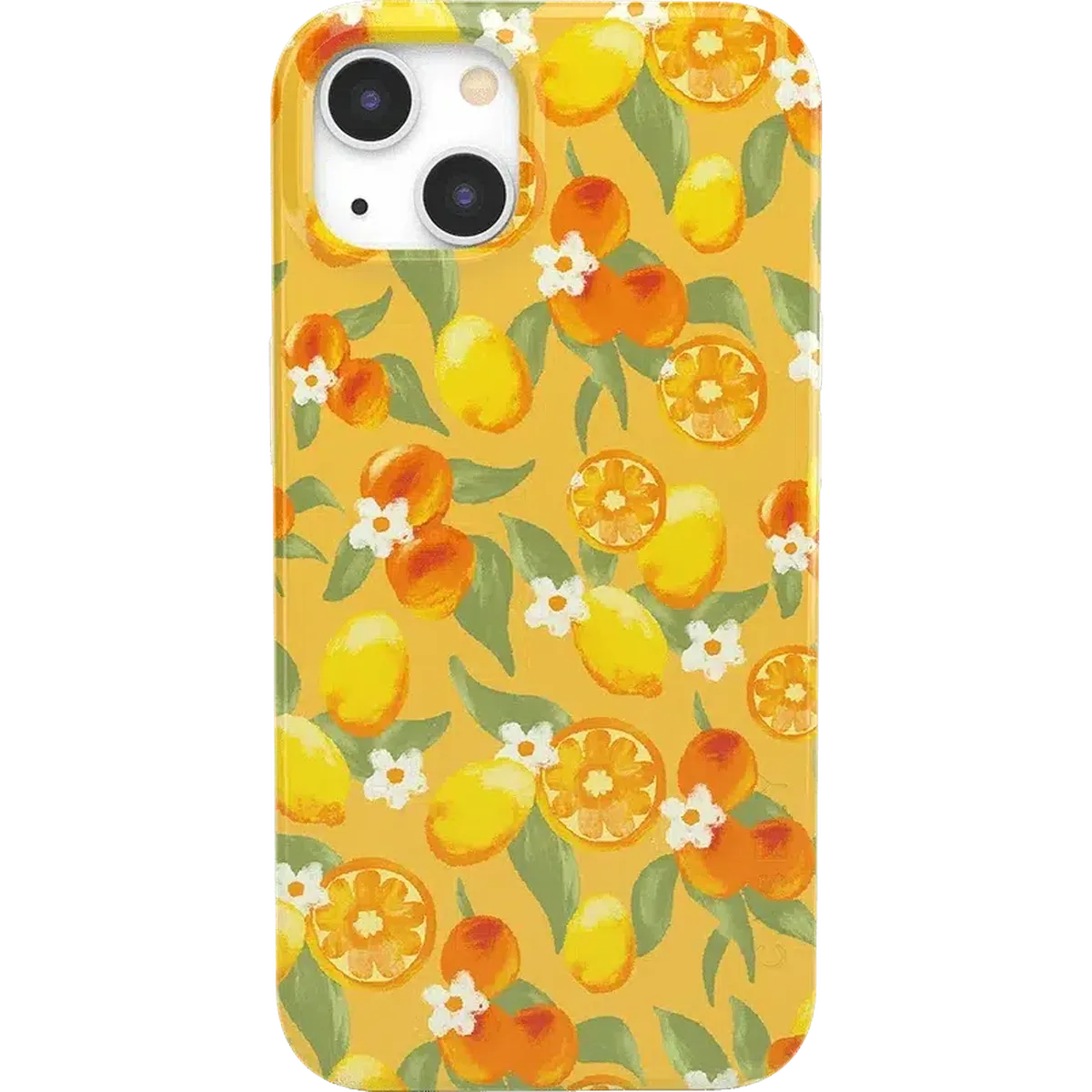 Positano | Dippin' Daisy's Italian Coast Case