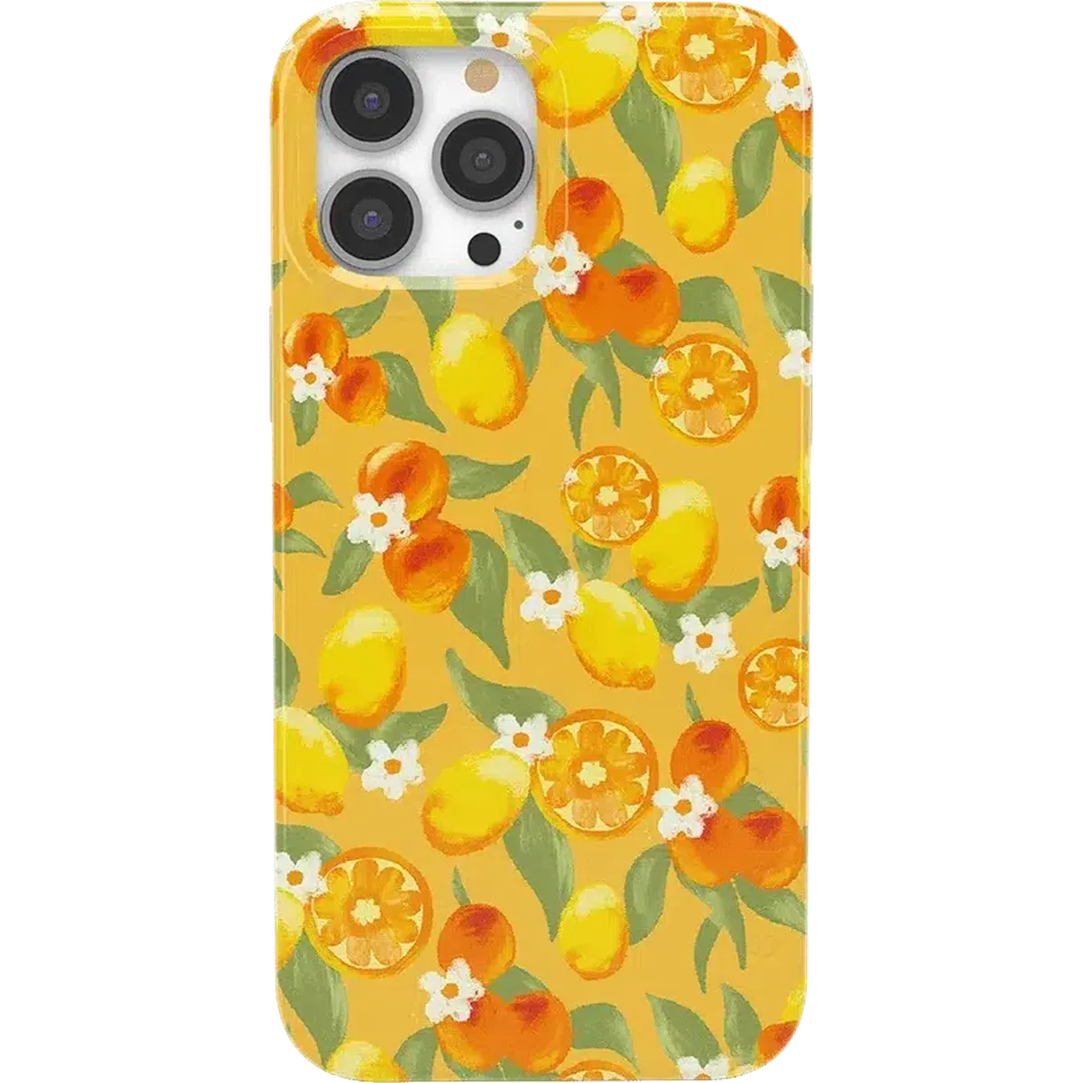 Positano | Dippin' Daisy's Italian Coast Case