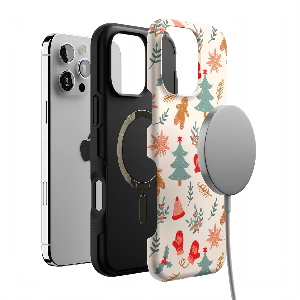 Sugar and Spice | Holiday Cookie Case