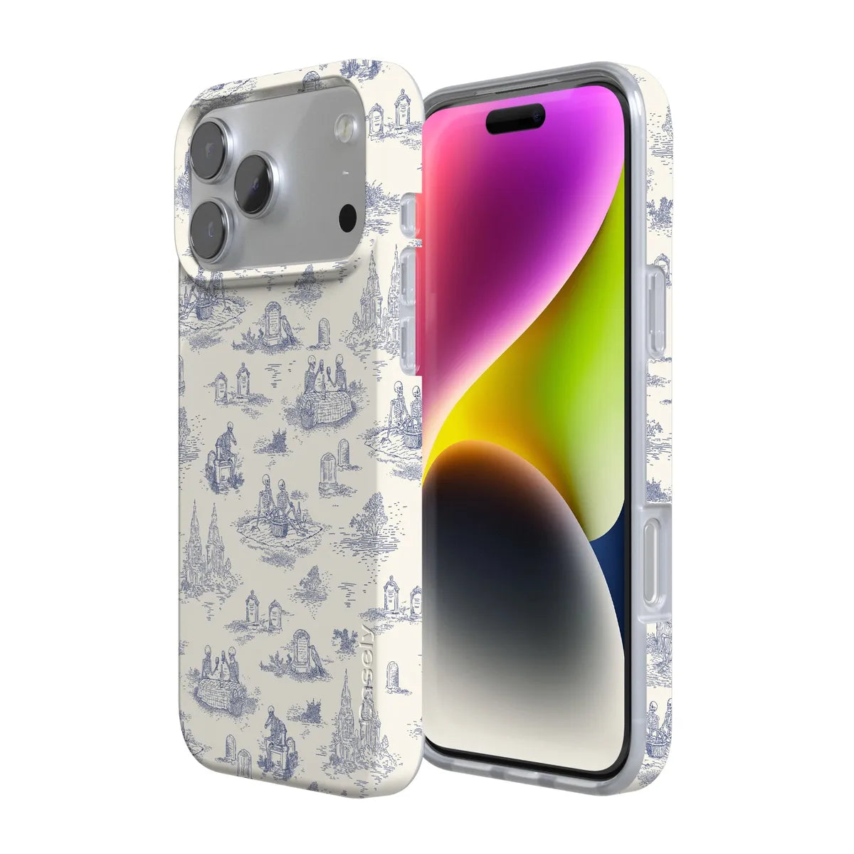 Graveyard Gathering | Skeleton Picnic Case