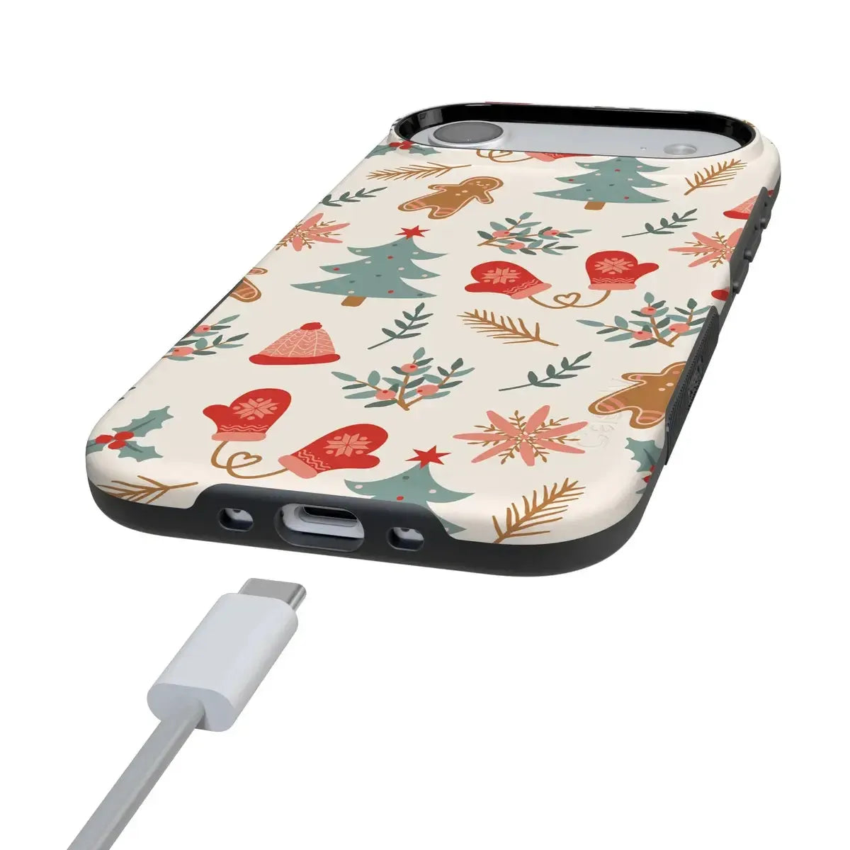 Sugar and Spice | Holiday Cookie Case