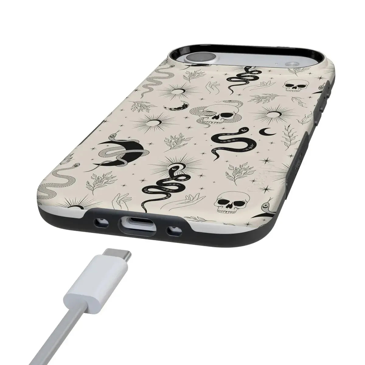 No Further Explanation | Snakes & Skulls Case