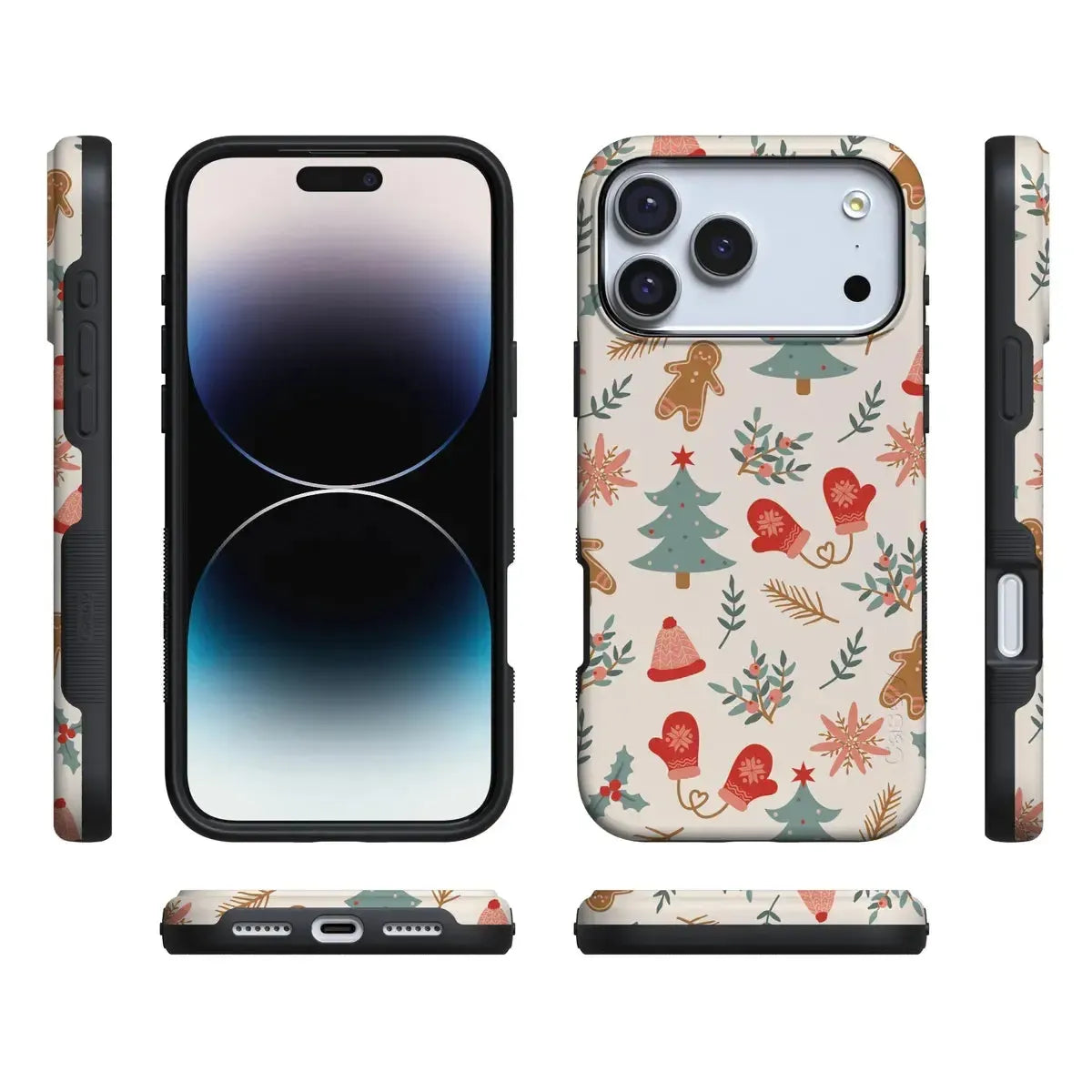 Sugar and Spice | Holiday Cookie Case