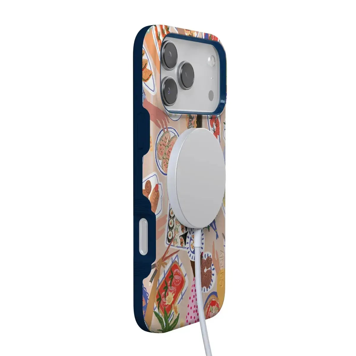 Picnic Party | Painted Collage Case