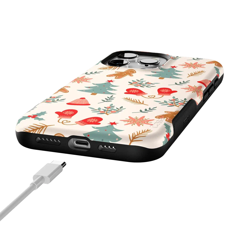 Sugar and Spice | Holiday Cookie Case